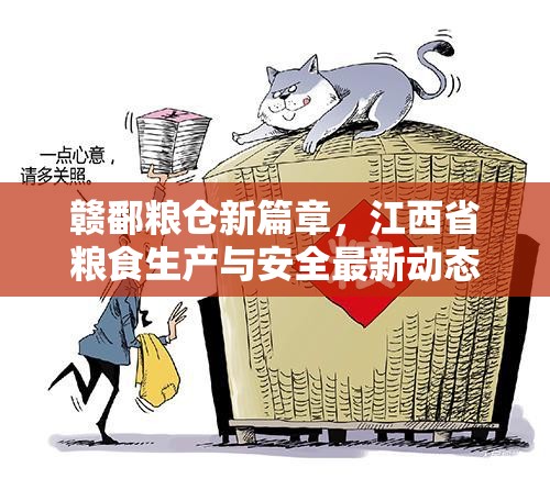 贛鄱糧倉(cāng)新篇章，江西省糧食生產(chǎn)與安全最新動(dòng)態(tài)解析