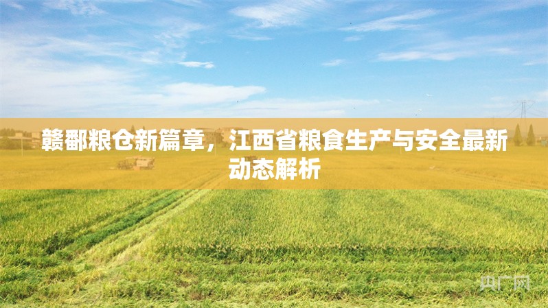 贛鄱糧倉(cāng)新篇章，江西省糧食生產(chǎn)與安全最新動(dòng)態(tài)解析
