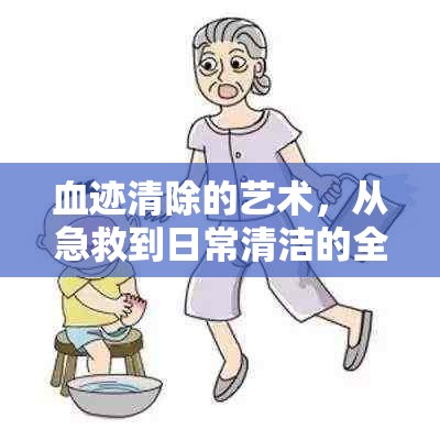 血跡清除的藝術(shù)，從急救到日常清潔的全面指南