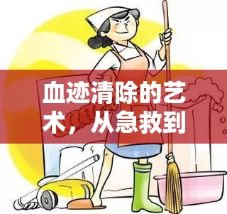 血跡清除的藝術(shù)，從急救到日常清潔的全面指南