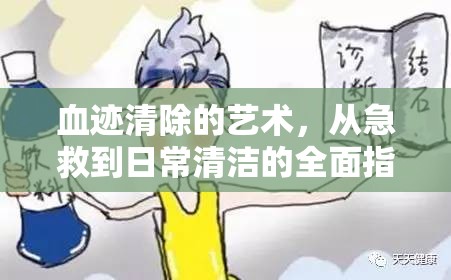 血跡清除的藝術(shù)，從急救到日常清潔的全面指南