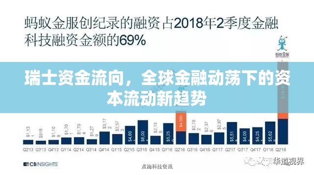 瑞士資金流向，全球金融動(dòng)蕩下的資本流動(dòng)新趨勢