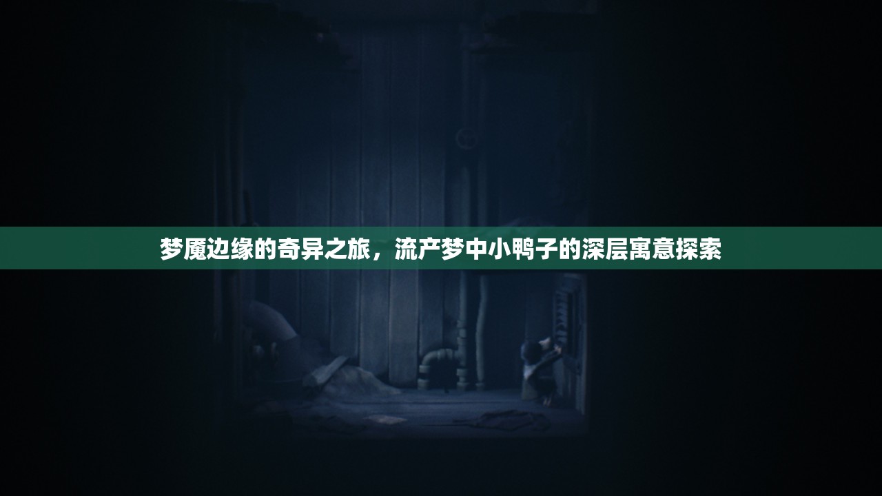 夢(mèng)魘邊緣的奇異之旅，流產(chǎn)夢(mèng)中小鴨子的深層寓意探索