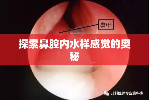 探索鼻腔內(nèi)水樣感覺的奧秘