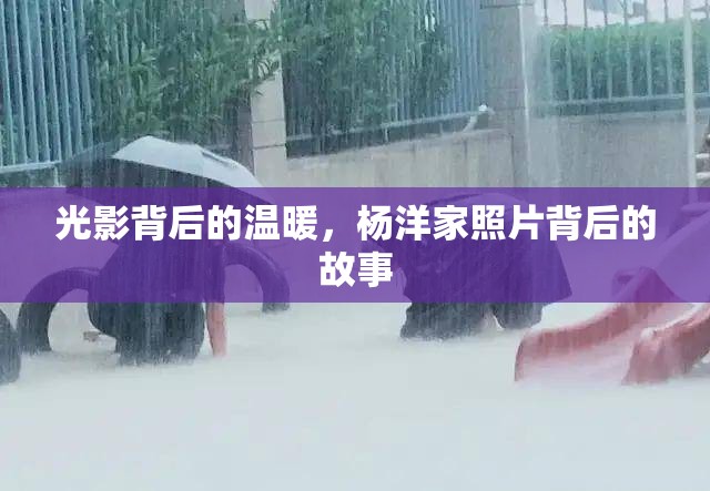 光影背后的溫暖，楊洋家照片背后的故事