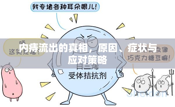 內(nèi)痔流出的真相，原因、癥狀與應(yīng)對策略