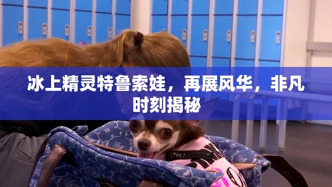 冰上精靈特魯索娃，再展風(fēng)華，非凡時刻揭秘