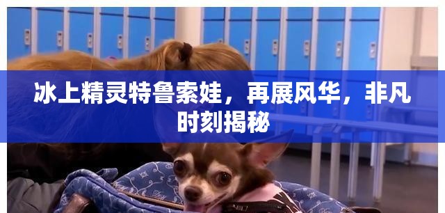 冰上精靈特魯索娃，再展風(fēng)華，非凡時刻揭秘