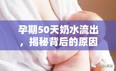 孕期50天奶水流出，揭秘背后的原因