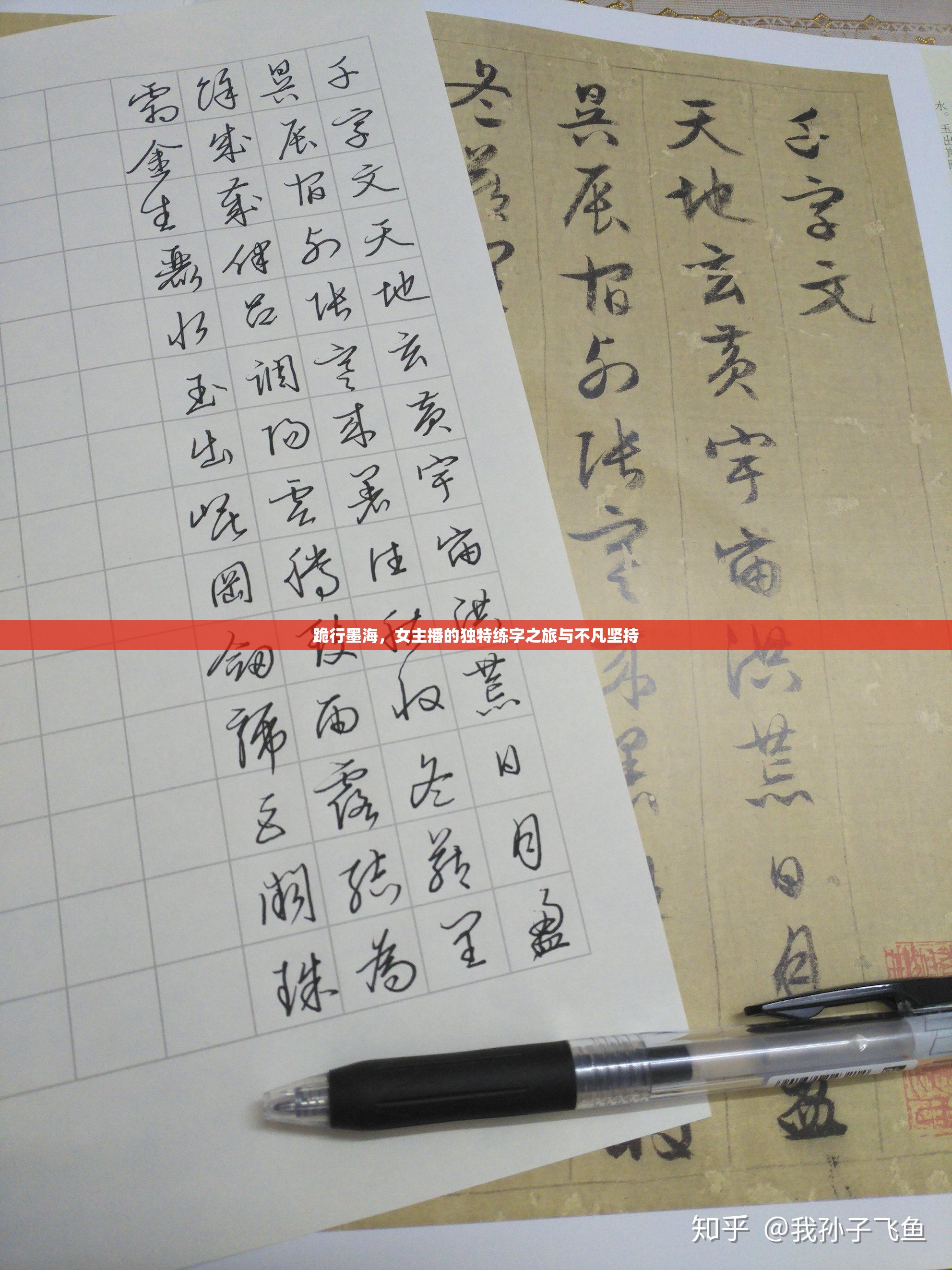 跪行墨海，女主播的獨特練字之旅與不凡堅持