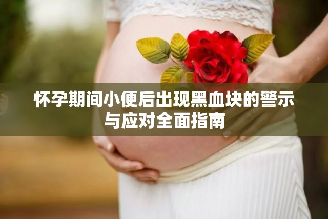 懷孕期間小便后出現(xiàn)黑血塊的警示與應(yīng)對(duì)全面指南