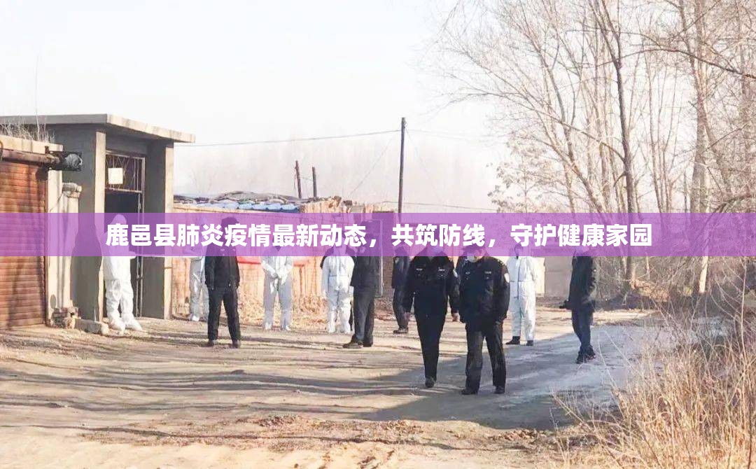 鹿邑縣肺炎疫情最新動態(tài)，共筑防線，守護健康家園
