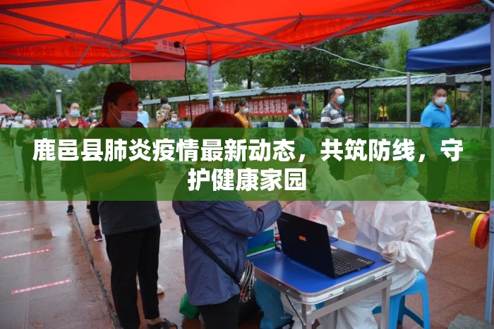 鹿邑縣肺炎疫情最新動態(tài)，共筑防線，守護健康家園
