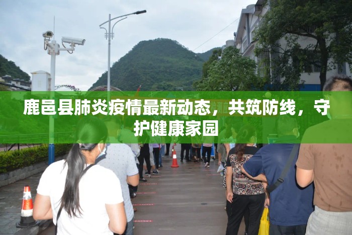 鹿邑縣肺炎疫情最新動態(tài)，共筑防線，守護健康家園