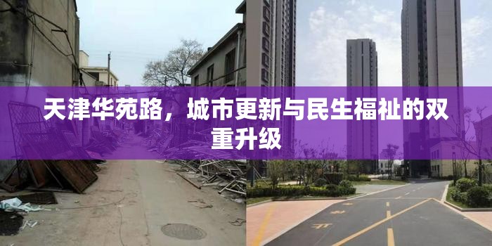 天津華苑路，城市更新與民生福祉的雙重升級(jí)