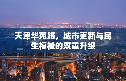天津華苑路，城市更新與民生福祉的雙重升級(jí)