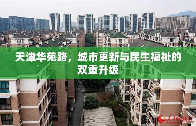 天津華苑路，城市更新與民生福祉的雙重升級(jí)