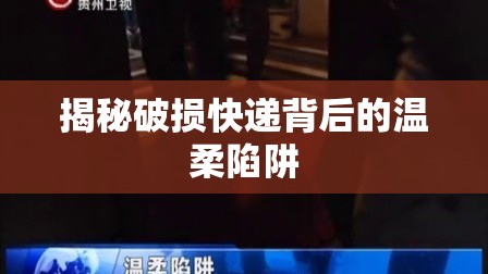 揭秘破損快遞背后的溫柔陷阱