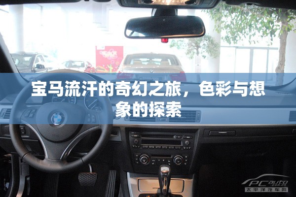 寶馬流汗的奇幻之旅，色彩與想象的探索