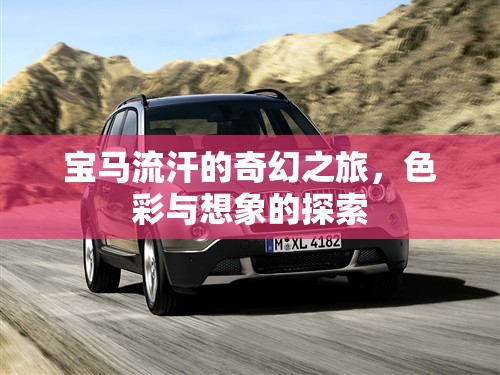 寶馬流汗的奇幻之旅，色彩與想象的探索