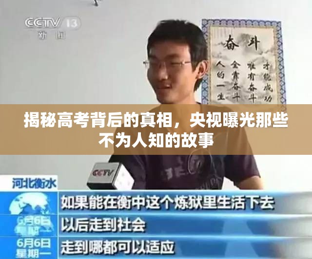揭秘高考背后的真相，央視曝光那些不為人知的故事