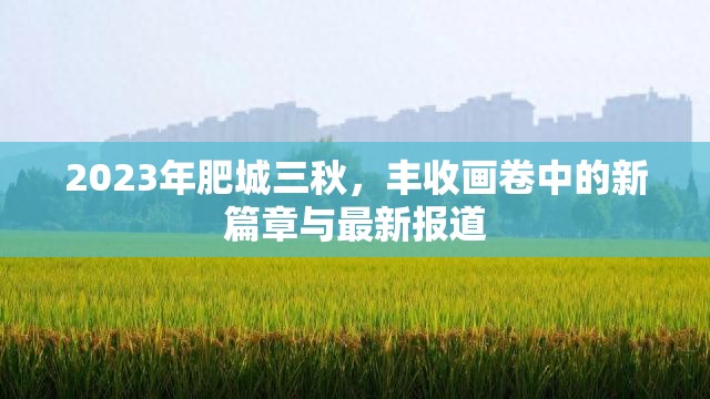 2023年肥城三秋，豐收畫卷中的新篇章與最新報(bào)道