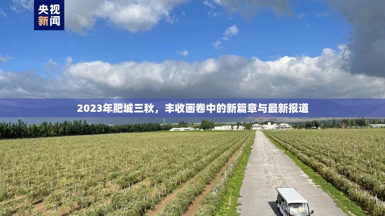 2023年肥城三秋，豐收畫卷中的新篇章與最新報(bào)道