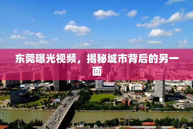 東莞曝光視頻，揭秘城市背后的另一面
