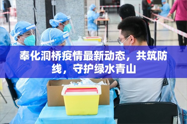 奉化洞橋疫情最新動(dòng)態(tài)，共筑防線，守護(hù)綠水青山