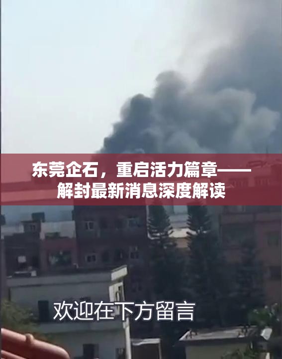 東莞企石，重啟活力篇章——解封最新消息深度解讀