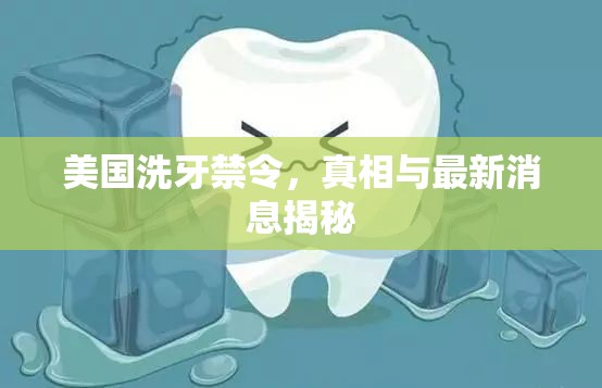 美國(guó)洗牙禁令，真相與最新消息揭秘