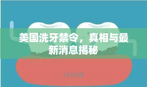 美國(guó)洗牙禁令，真相與最新消息揭秘