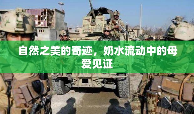 自然之美的奇跡，奶水流動(dòng)中的母愛見證