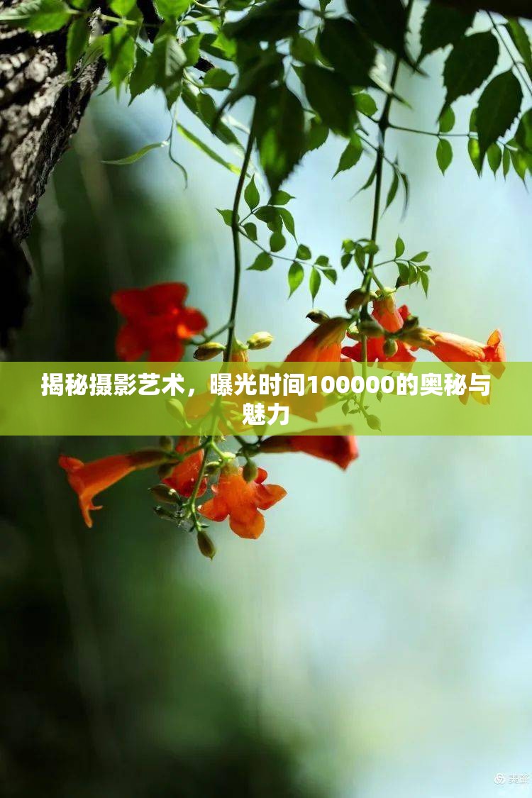 揭秘?cái)z影藝術(shù)，曝光時(shí)間100000的奧秘與魅力