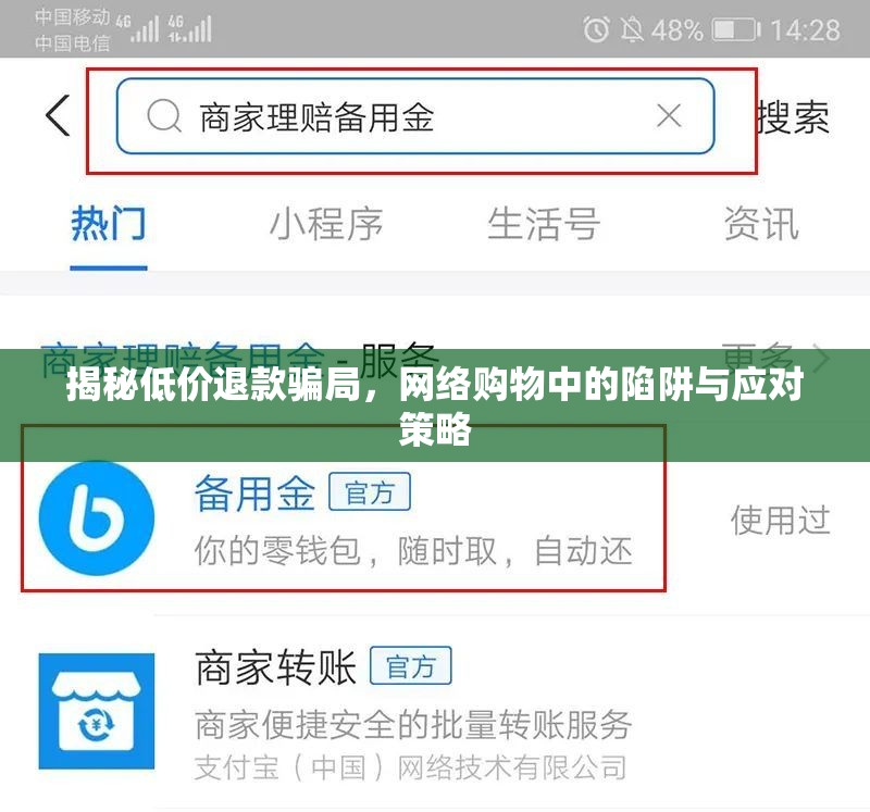 揭秘低價(jià)退款騙局，網(wǎng)絡(luò)購(gòu)物中的陷阱與應(yīng)對(duì)策略