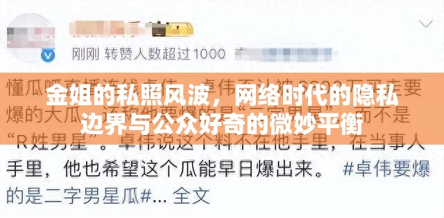 金姐的私照風(fēng)波，網(wǎng)絡(luò)時(shí)代的隱私邊界與公眾好奇的微妙平衡