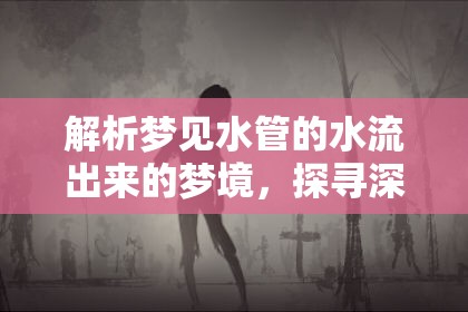 解析夢(mèng)見水管的水流出來的夢(mèng)境，探尋深層含義