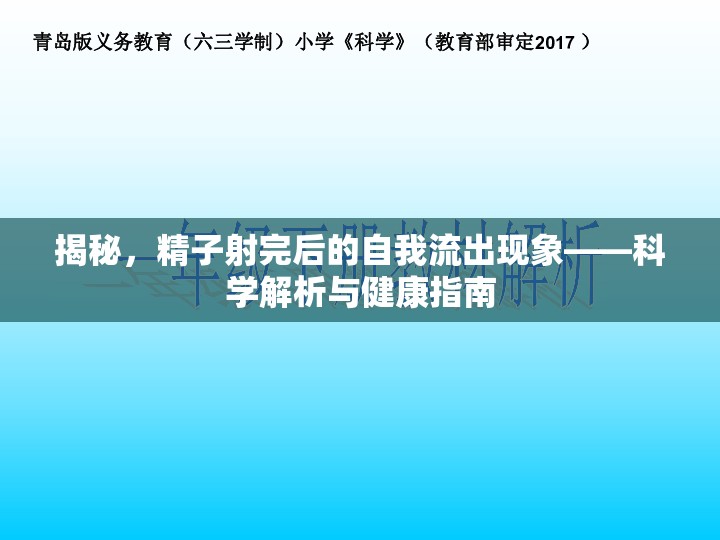 揭秘，精子射完后的自我流出現(xiàn)象——科學(xué)解析與健康指南