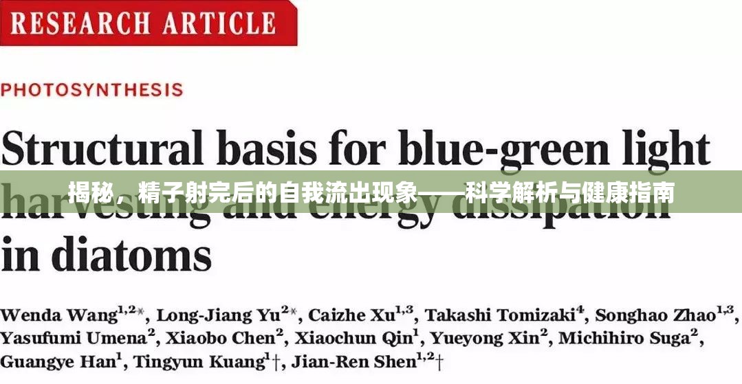 揭秘，精子射完后的自我流出現(xiàn)象——科學(xué)解析與健康指南