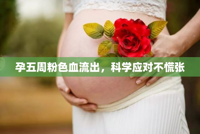 孕五周粉色血流出，科學應對不慌張