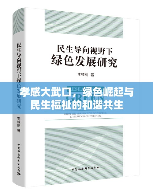 孝感大武口，綠色崛起與民生福祉的和諧共生