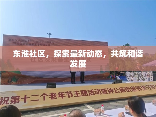 東淮社區(qū)，探索最新動態(tài)，共筑和諧發(fā)展