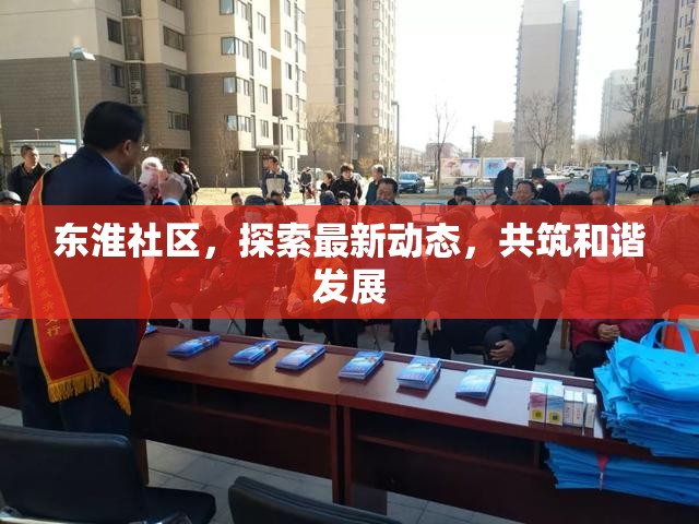 東淮社區(qū)，探索最新動態(tài)，共筑和諧發(fā)展