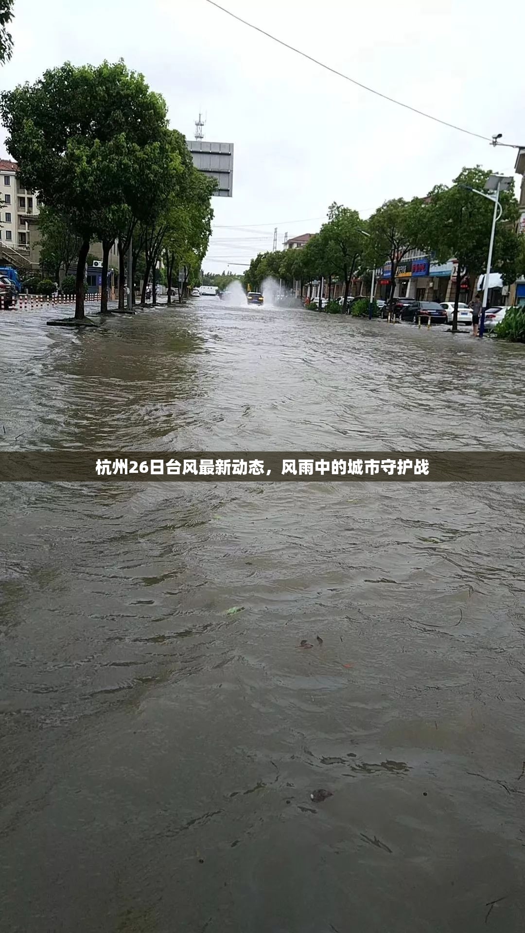 杭州26日臺(tái)風(fēng)最新動(dòng)態(tài)，風(fēng)雨中的城市守護(hù)戰(zhàn)