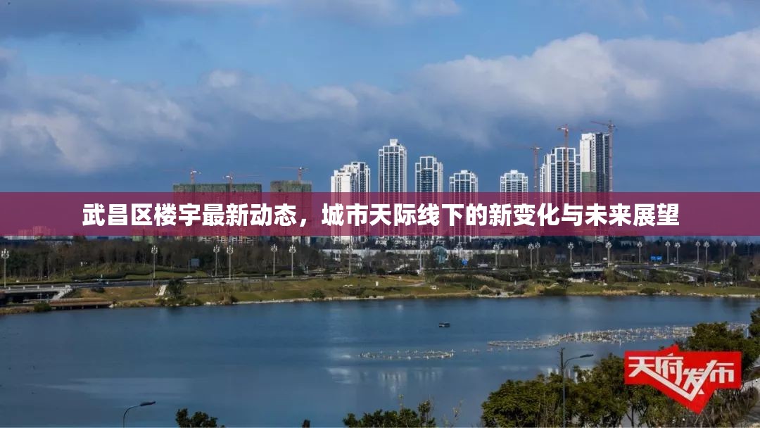 武昌區(qū)樓宇最新動(dòng)態(tài)，城市天際線下的新變化與未來(lái)展望