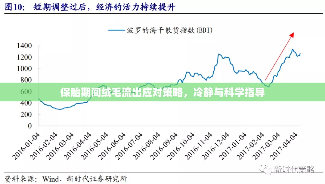 保胎期間絨毛流出應對策略，冷靜與科學指導