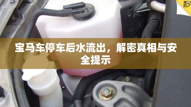 寶馬車停車后水流出，解密真相與安全提示