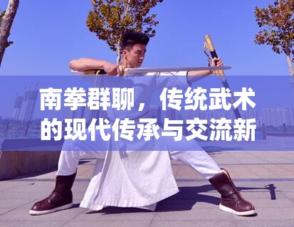南拳群聊，傳統(tǒng)武術的現(xiàn)代傳承與交流新生態(tài)揭秘