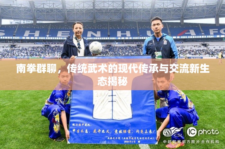 南拳群聊，傳統(tǒng)武術的現(xiàn)代傳承與交流新生態(tài)揭秘