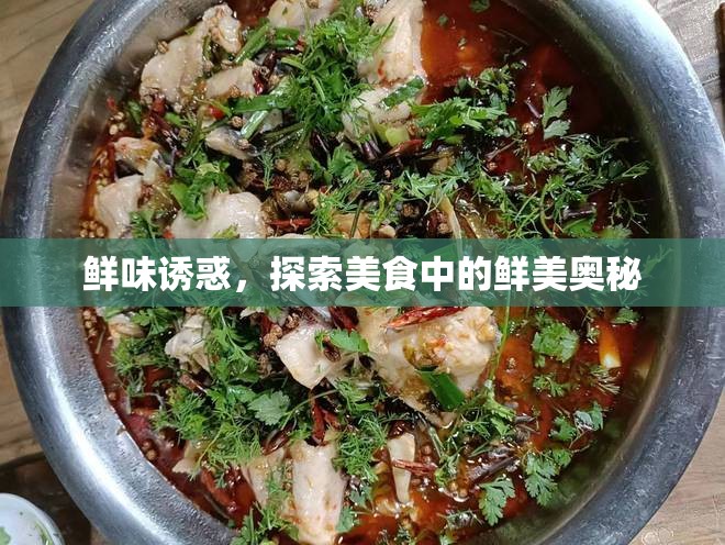鮮味誘惑，探索美食中的鮮美奧秘